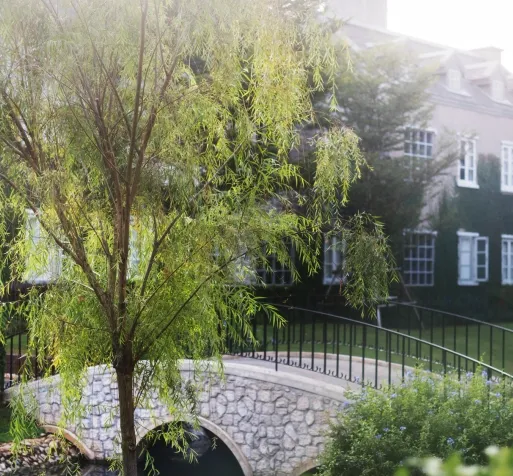 Pohon willow di tepi jembatan batu dengan kanal dan bangunan bergaya klasik