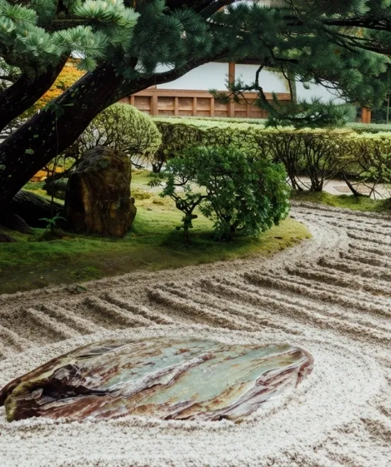 Pohon pinus besar menaungi taman batu Jepang dengan pasir bermotif garis
